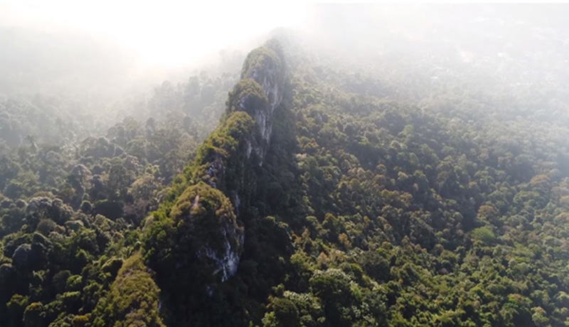 3d rendered image on mountain with trees scattered in 3ds max